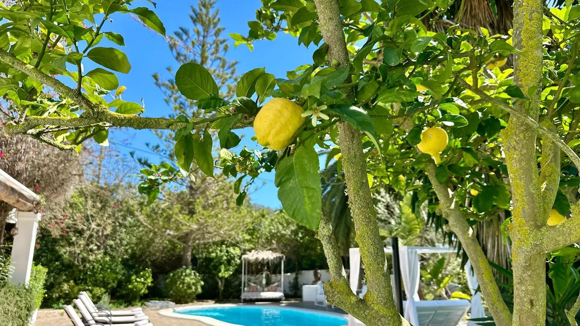 Stylish Ibiza Villa Near Beaches Private Pool & Lush Garden Cala Llonga   Cala Llonga (Ibiza)